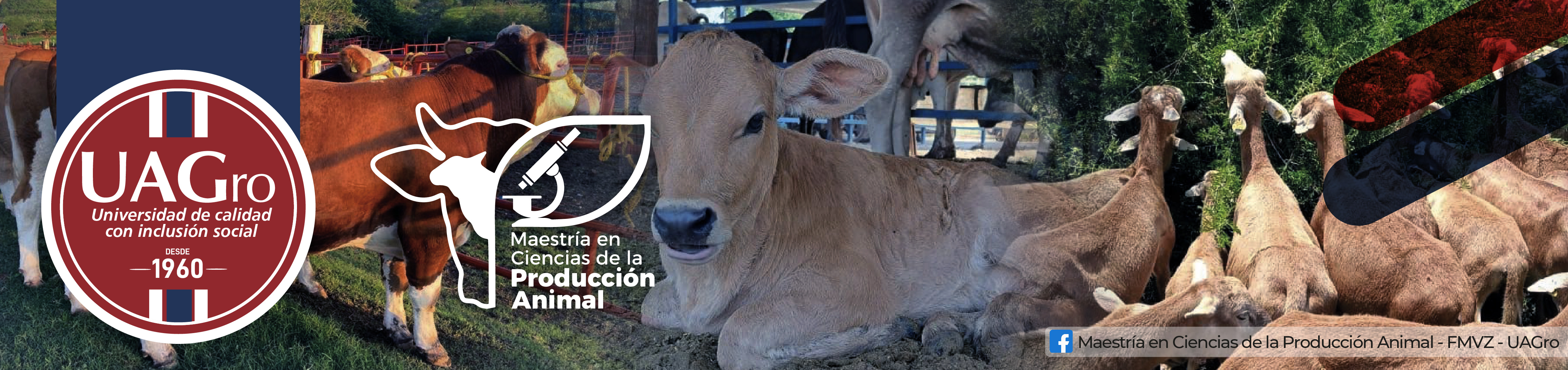 Maestría en Ciencia de la Producción Animal